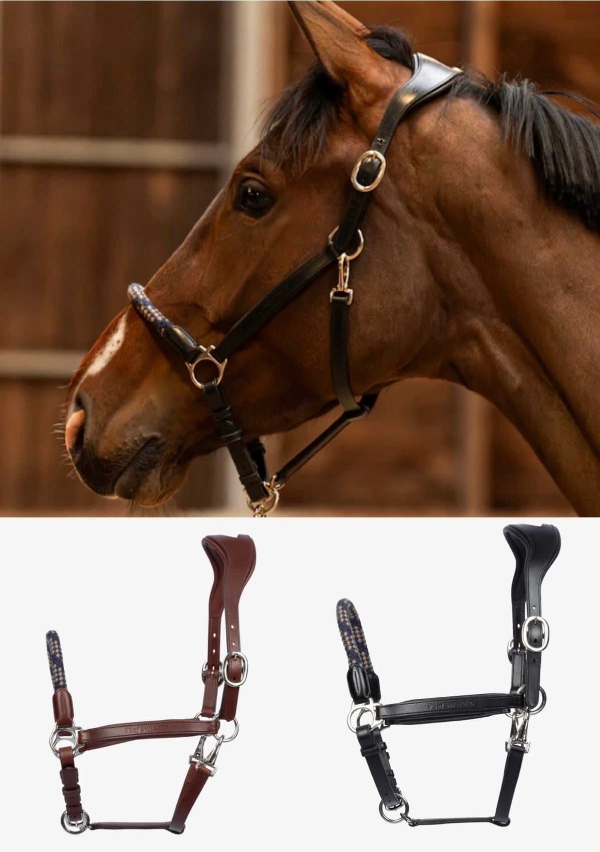 Premium Leather Rope No Tip Brown/Black PS of Sweden