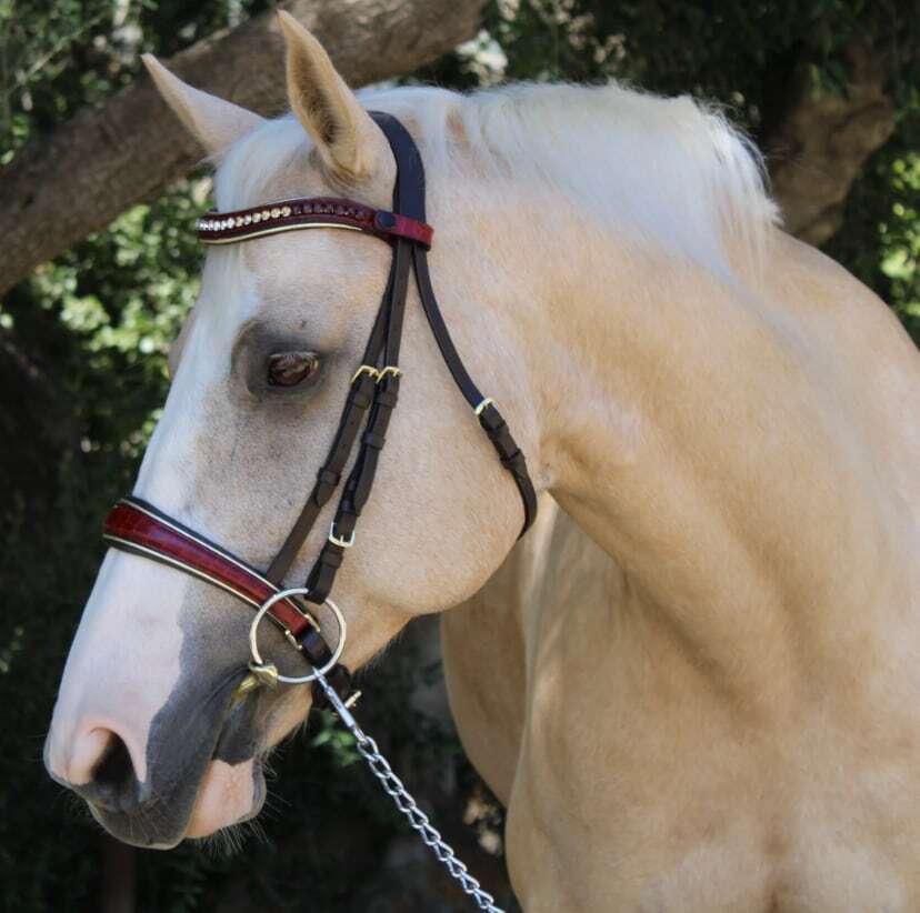 ベネチアンレザー頭絡 手綱付き バーガンディークロコ Halter ego