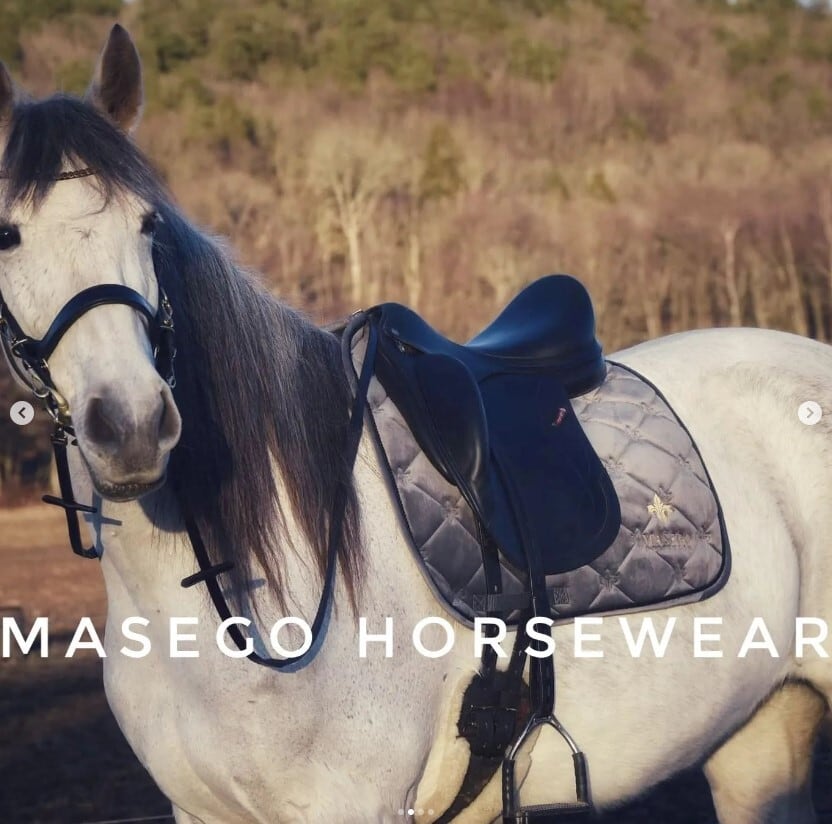 ベルベットサドルパッド グレー フルサイズ 乗馬用ゼッケン馬場用 Masego