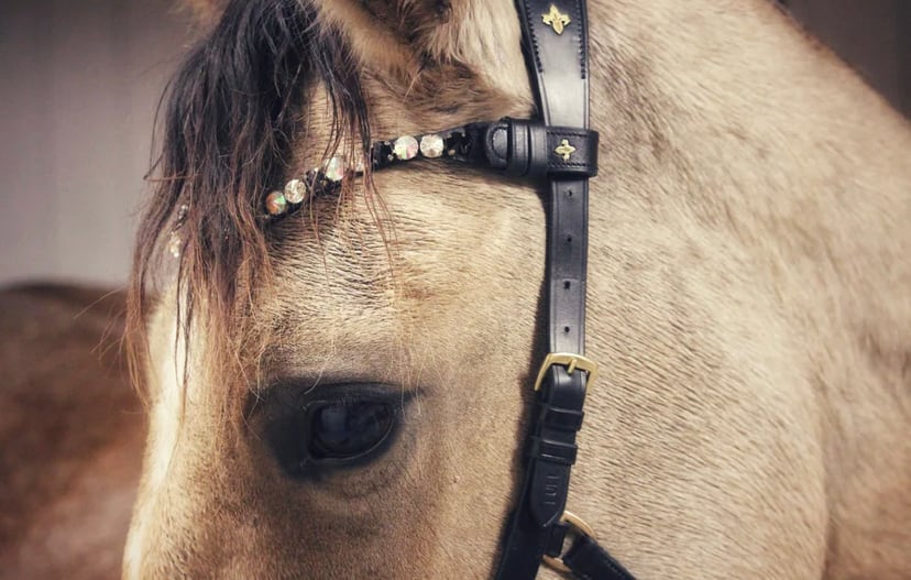 スワロフスキー額革 オニキス&アイス Masego