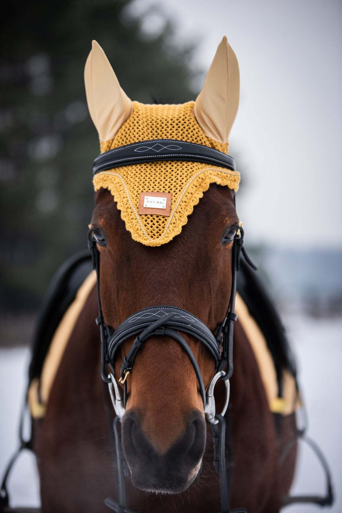 バラ柄サドルパッド&イヤーネット2点セット ハニーイエロー 馬場用 障害用
