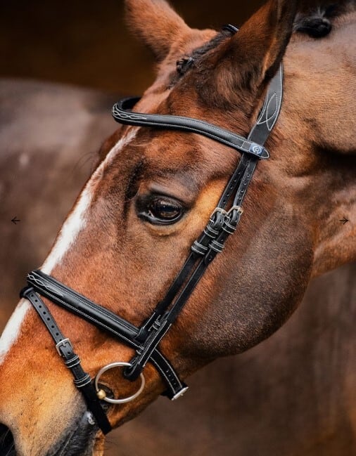 Bridle for Show Jumping and Dressage Black Brown