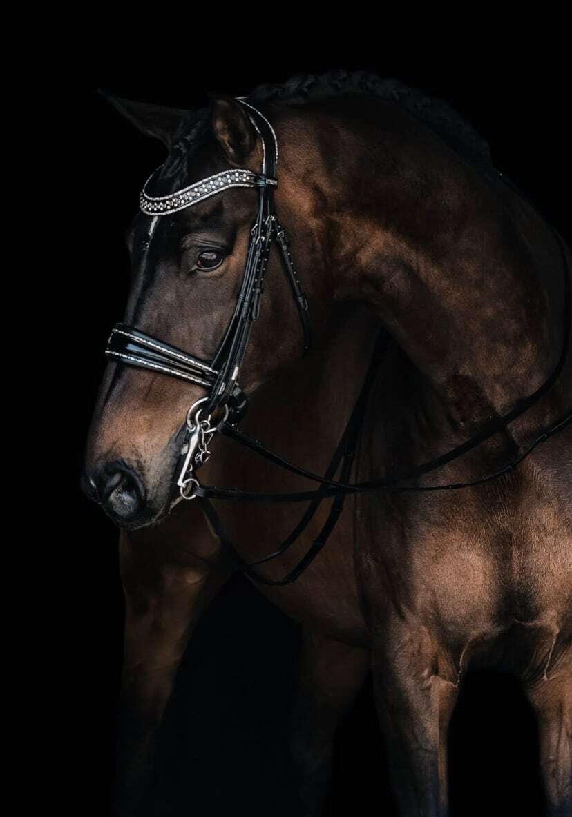 デラックスアナトミカル大勒 ブラック Mrs Ros Equestrian フル