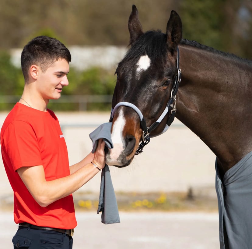 Cooler Rug Cooling Horse Blanket Grey Sunride