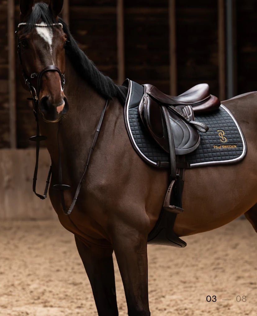 滑り止め付き乗馬用ゼッケン 障害/馬場 アナトミカル構造 Ps of Sweden ダークグレー/ストームブルー