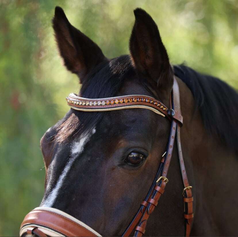 アナトミカル頭絡 手綱付き コニャック Halter ego