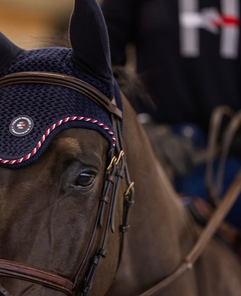 乗馬用ゼッケン&コットンイヤーネット 2点セット Tommy Hillfiger Equestrian フルサイズ