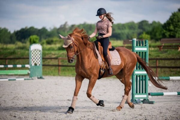 フラワーレースサドルパッド&イヤーネット 2点セット ベージュ 馬場用 障害用 ゼッケン