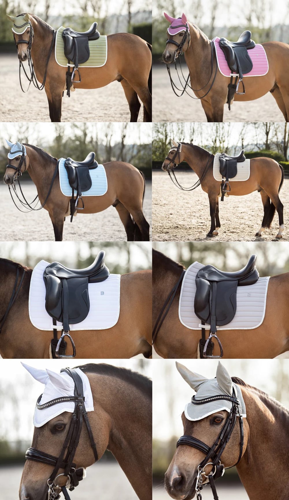 速乾サドルパッド＆イヤーネット 2点セット 馬場用ゼッケン Bullet Equestrian design フル｜乗馬用品店レクシア