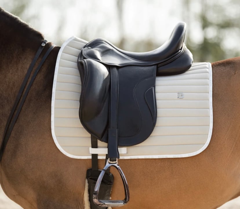 速乾サドルパッド&イヤーネット 2点セット 馬場用ゼッケン Bullet Equestrian design フル