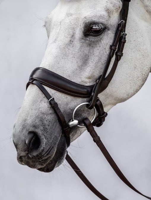 Bridle for Show Jumping and Dressage Black Brown