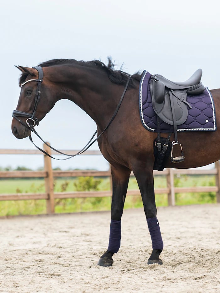 乗馬用ゼッケン馬場用 シグネチャーコレクション Ps of Sweden