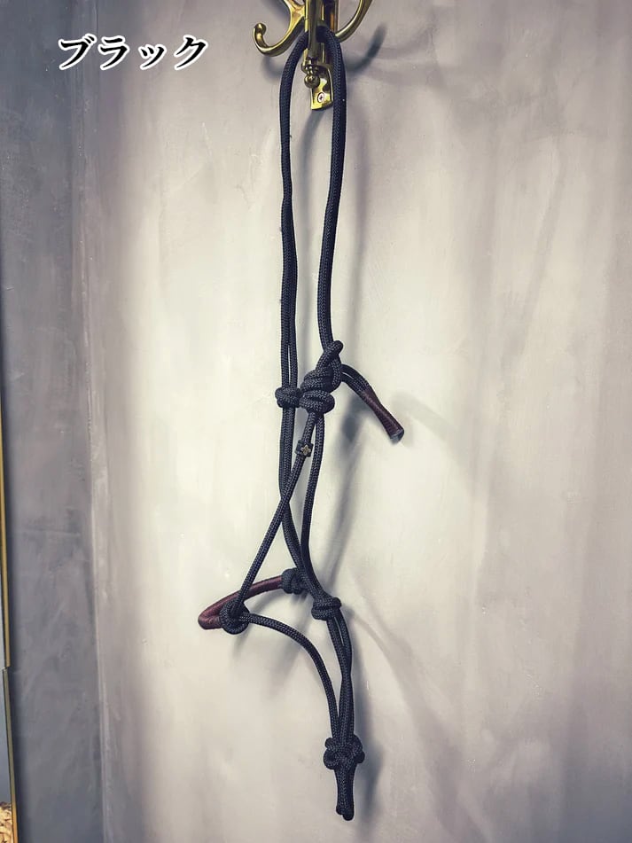Nylon Rope No End Masego