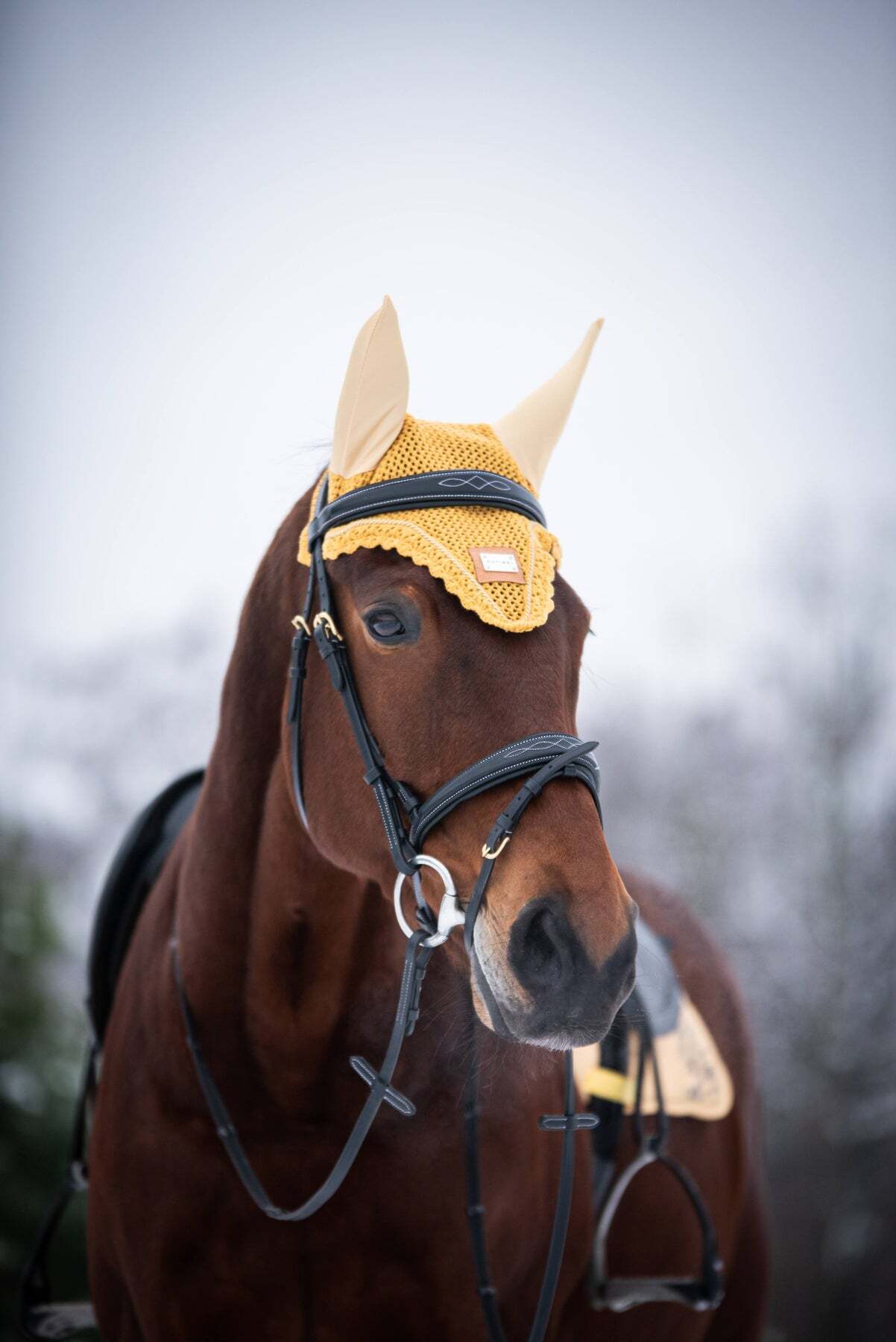 バラ柄サドルパッド&イヤーネット2点セット ハニーイエロー 馬場用 障害用