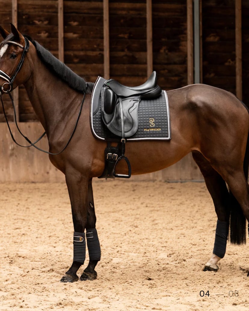 滑り止め付き乗馬用ゼッケン 障害/馬場 アナトミカル構造 Ps of Sweden ダークグレー/ストームブルー