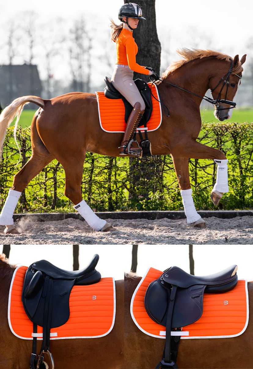 乗馬用ゼッケン 障害用・馬場用 速乾素材 オレンジ Bullet Equestrian design フル｜乗馬用品店レクシア