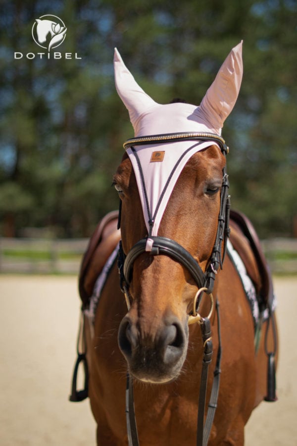 サテンレースサドルパッド&ロングイヤーネット セット ローズベージュ/ブラック 馬場用 障害用 ゼッケン