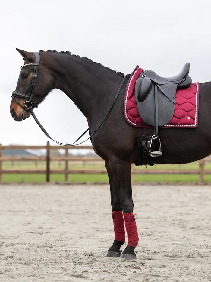乗馬用ゼッケン馬場用 シグネチャーコレクション Ps of Sweden