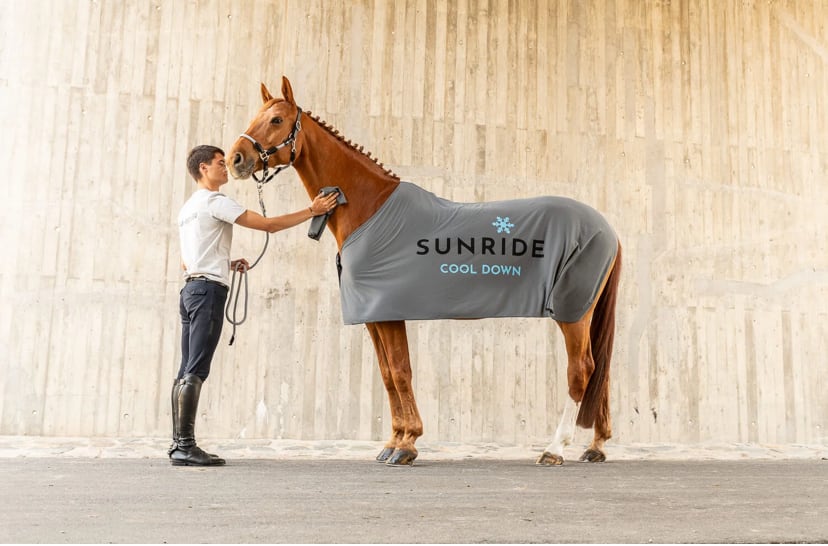 Cooler Rug Cooling Horse Blanket Grey Sunride