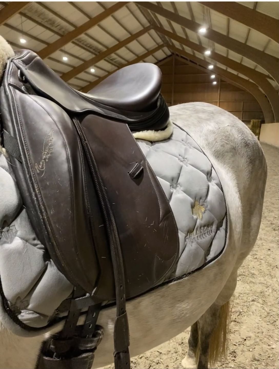 ベルベットサドルパッド グレー フルサイズ 乗馬用ゼッケン馬場用 Masego