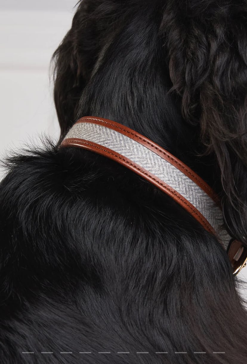 首輪&リード2点セット 本革 中型&大型犬用 ブラウン ツイード Holland Cooper