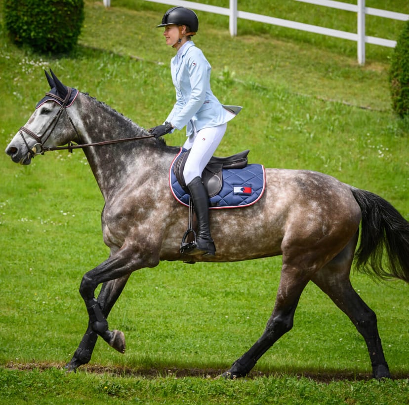 乗馬用ゼッケン 障害 馬場 Tommy Hillfiger Equestrian ネイビー