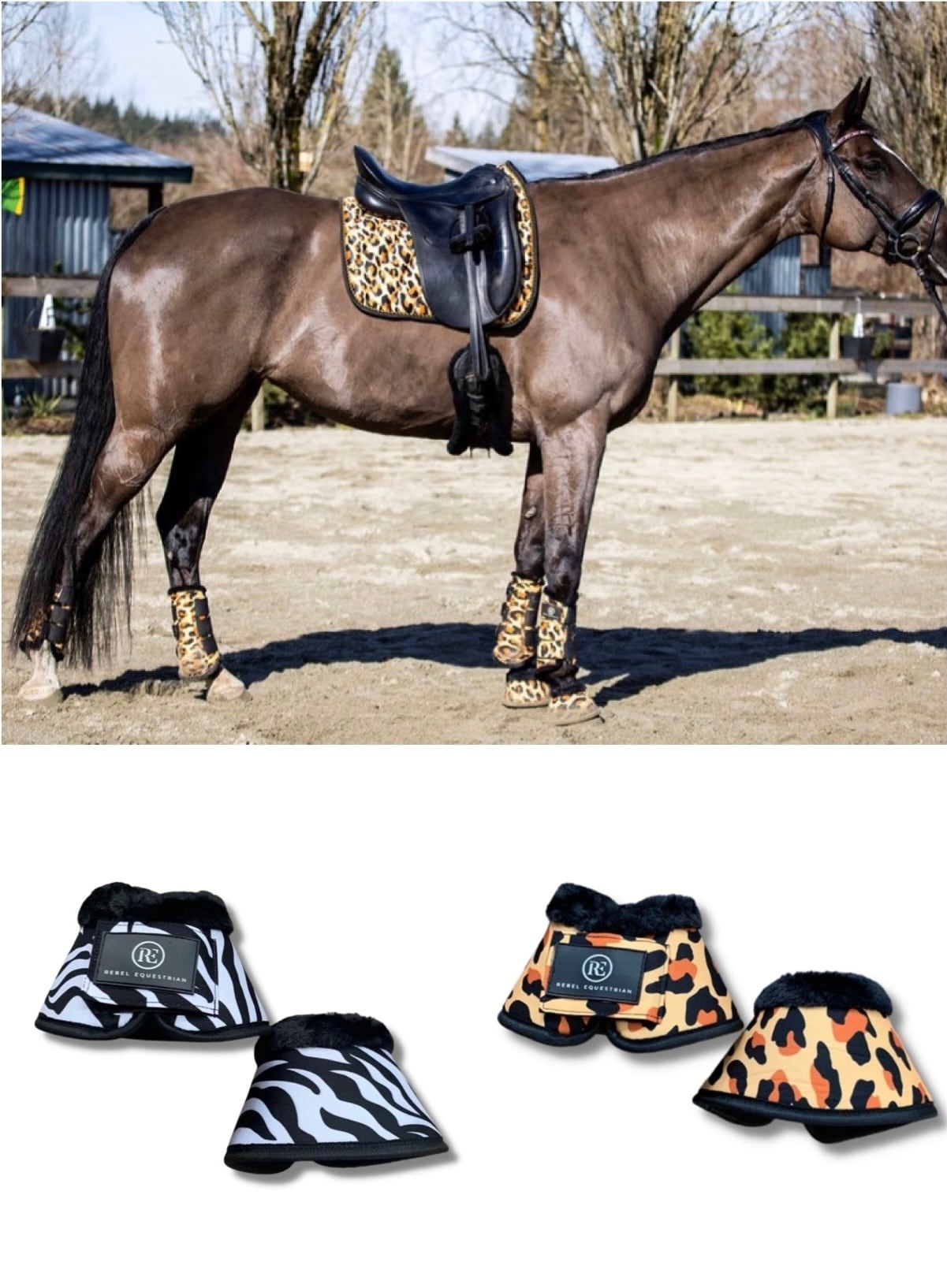 アニマル柄ワンコ ワイルドコレクション Rebel Equestrian｜乗馬用品店レクシア