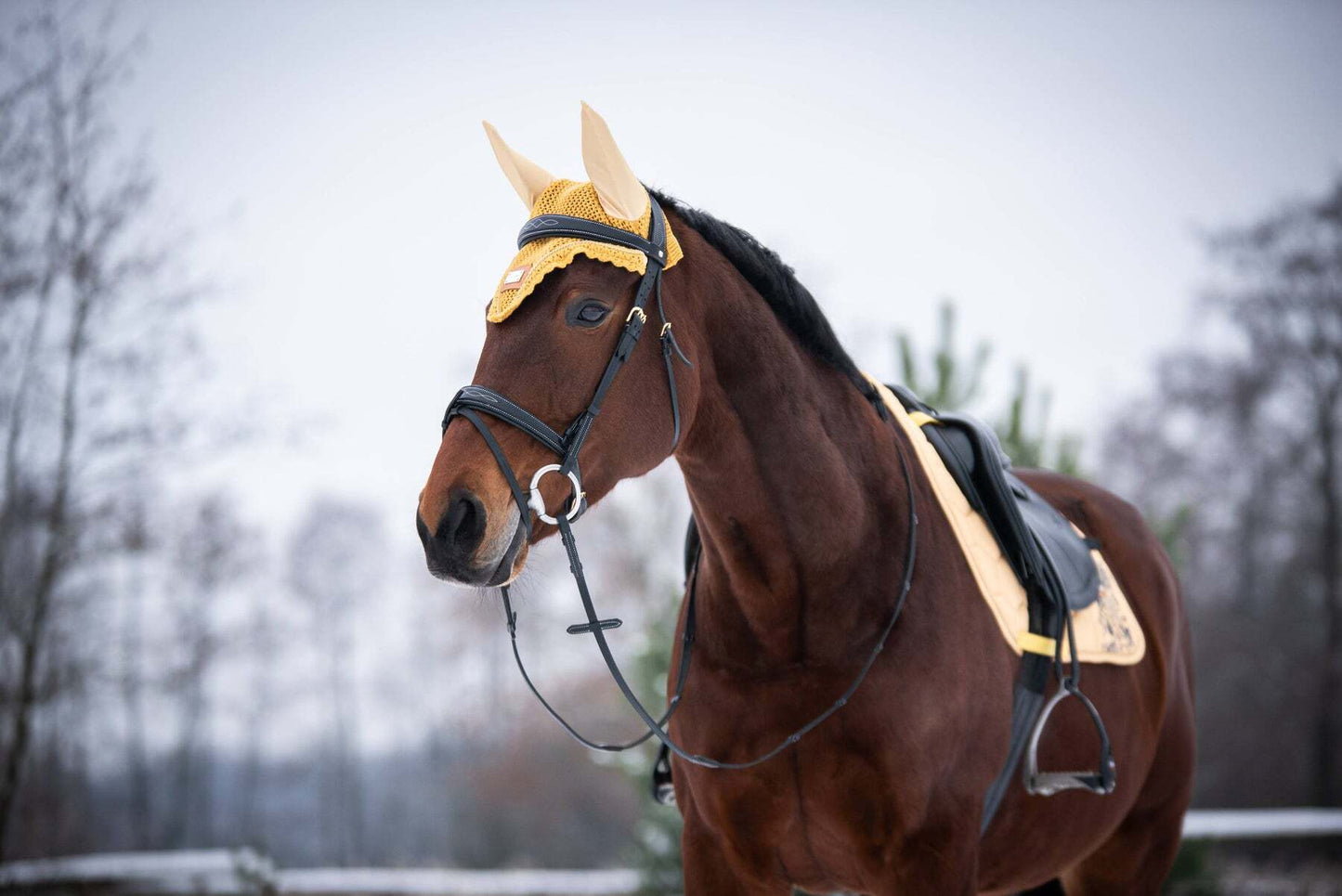 バラ柄サドルパッド&イヤーネット2点セット ハニーイエロー 馬場用 障害用