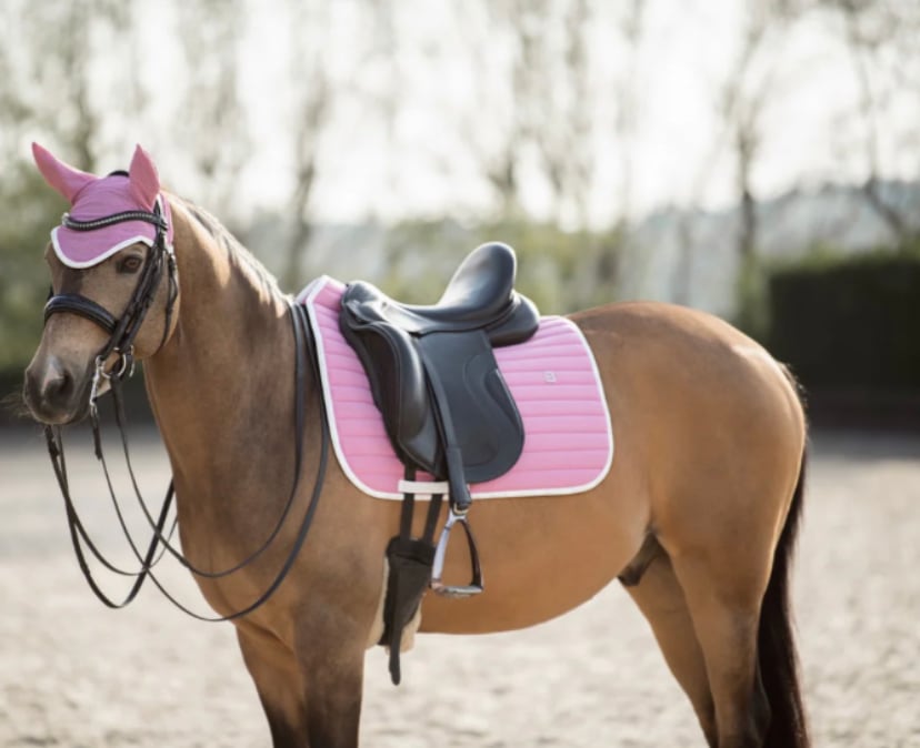 ライトウエイトイヤーネット Bullet Equestrian design フル