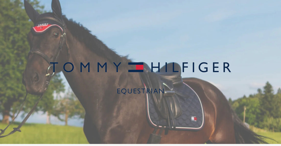 Tommy Hilfiger Equestrian新作入荷のお知らせ【2024/5/22】