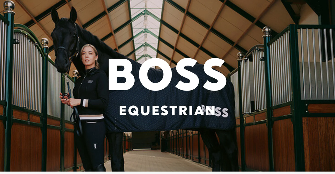 Boss Equestrian新作入荷のお知らせ【2024/5/17】