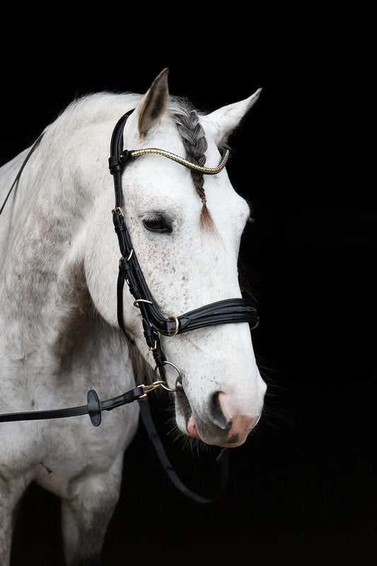 [With a choice of forehead straps] Combination nose straps multi-bridle Black Brown Masego