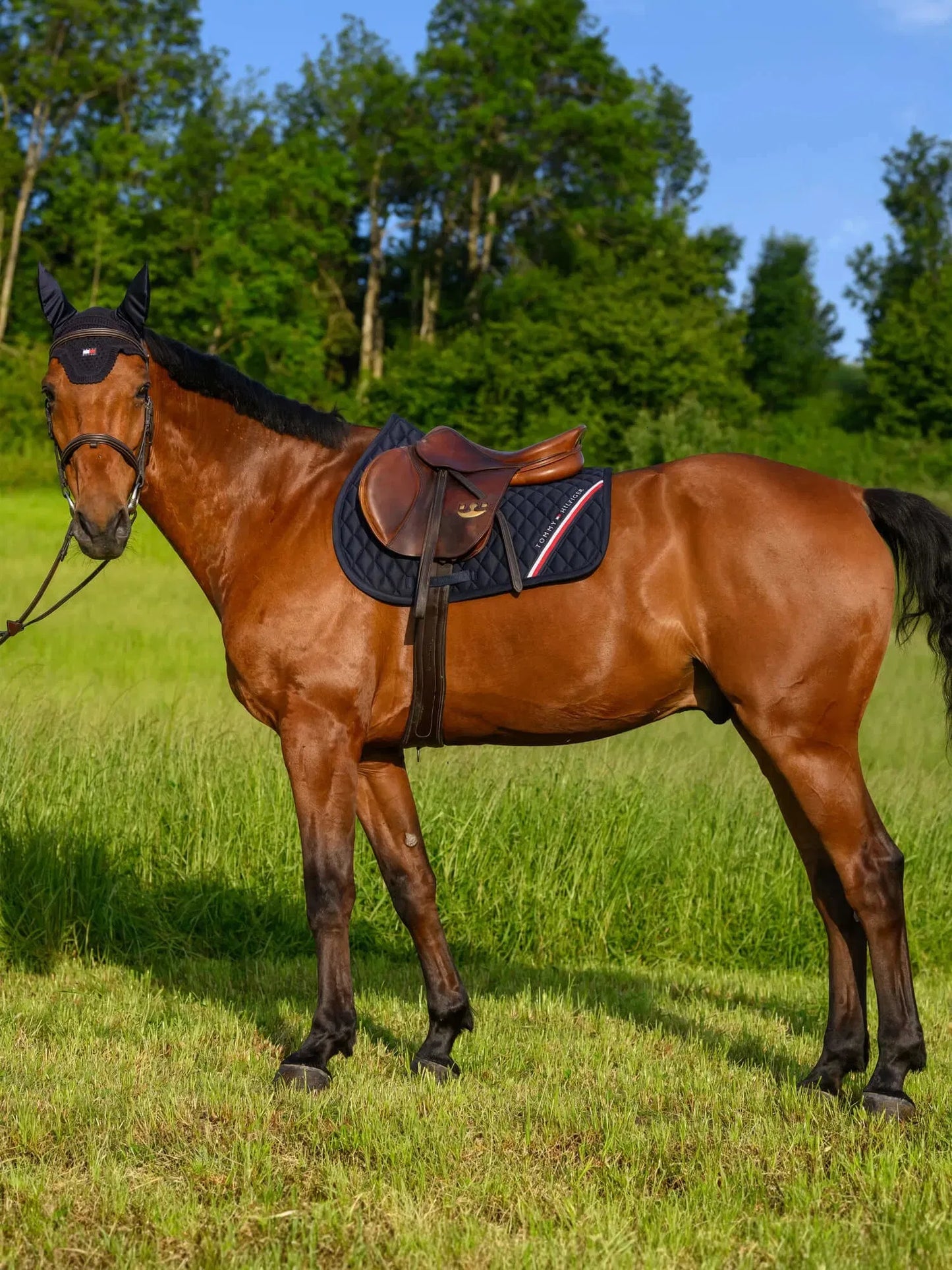 【4点セット】ナイロン無口＆引き手&障害用ゼッケン&イヤーネット ネイビー Tommy Hilfiger Equestrian