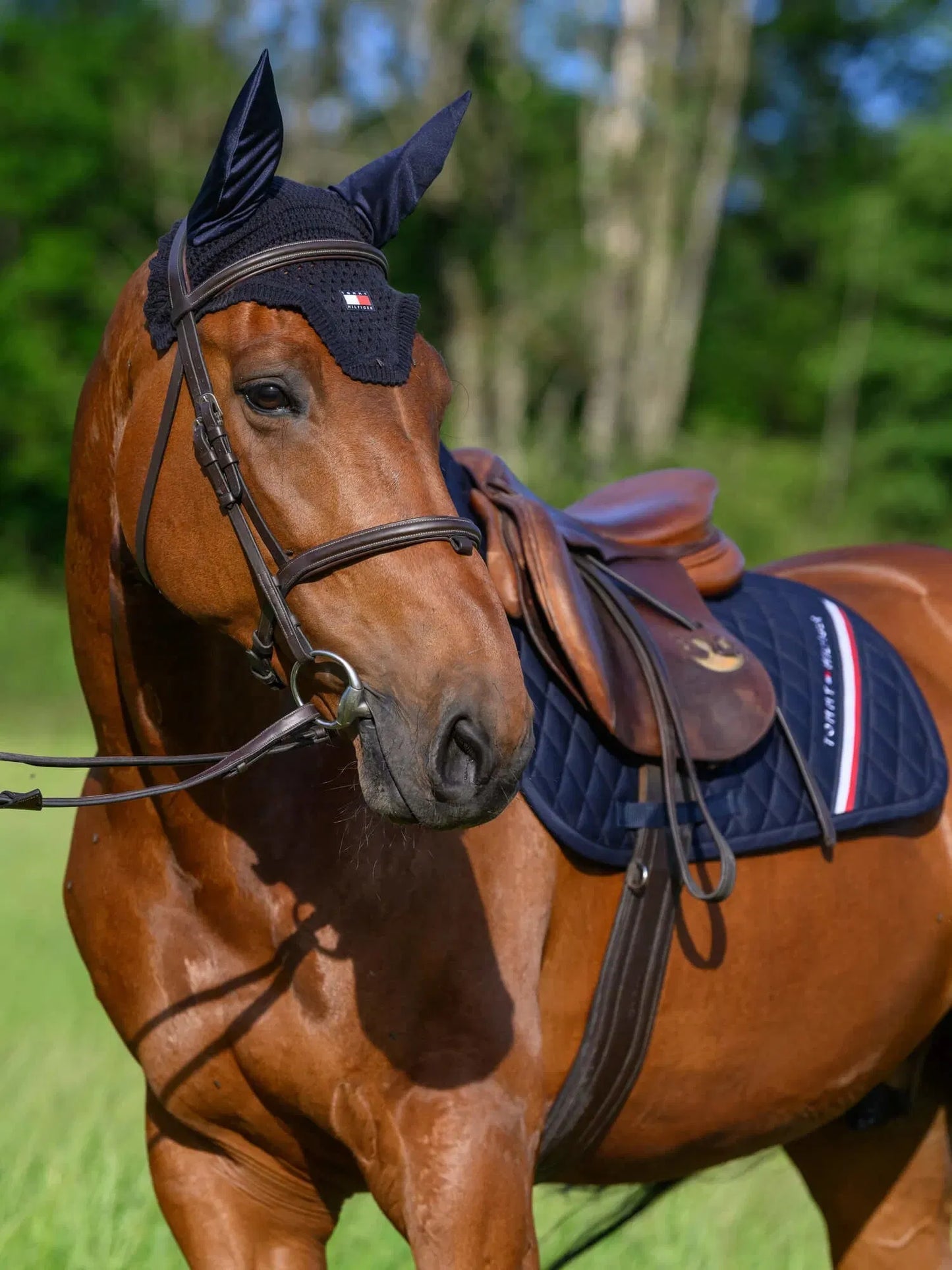 【4点セット】ナイロン無口＆引き手&障害用ゼッケン&イヤーネット ネイビー Tommy Hilfiger Equestrian