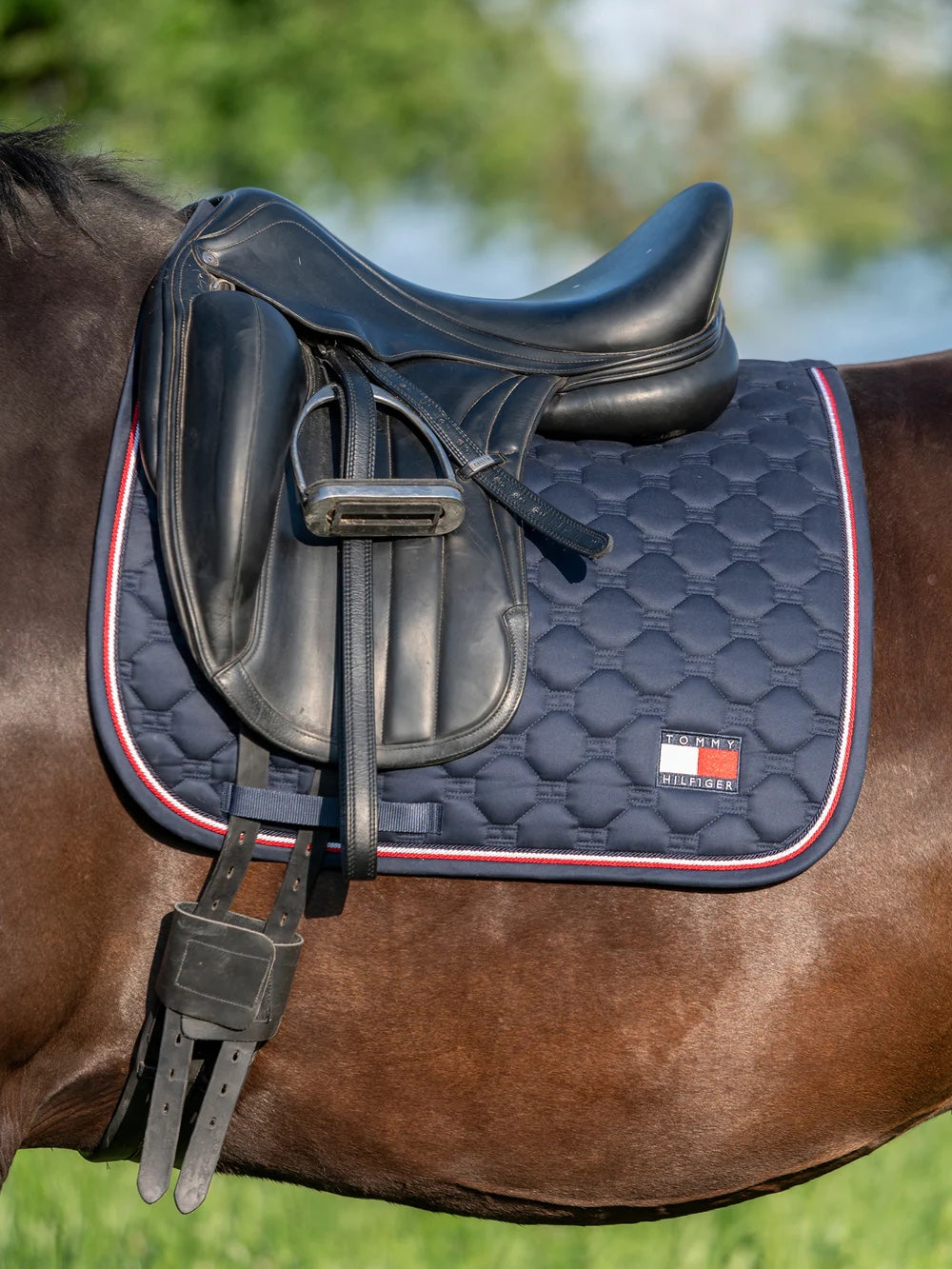 即日配送】キルティングゼッケン 障害/馬場用 ネイビー/レッド フル Tommy Hilfiger Equestrian｜乗馬用品店レクシア