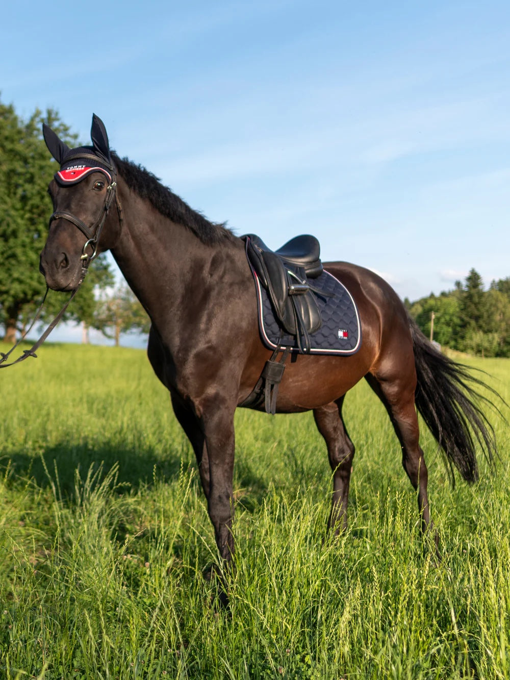 即日配送】キルティングゼッケン 障害/馬場用 ネイビー/レッド フル Tommy Hilfiger Equestrian｜乗馬用品店レクシア