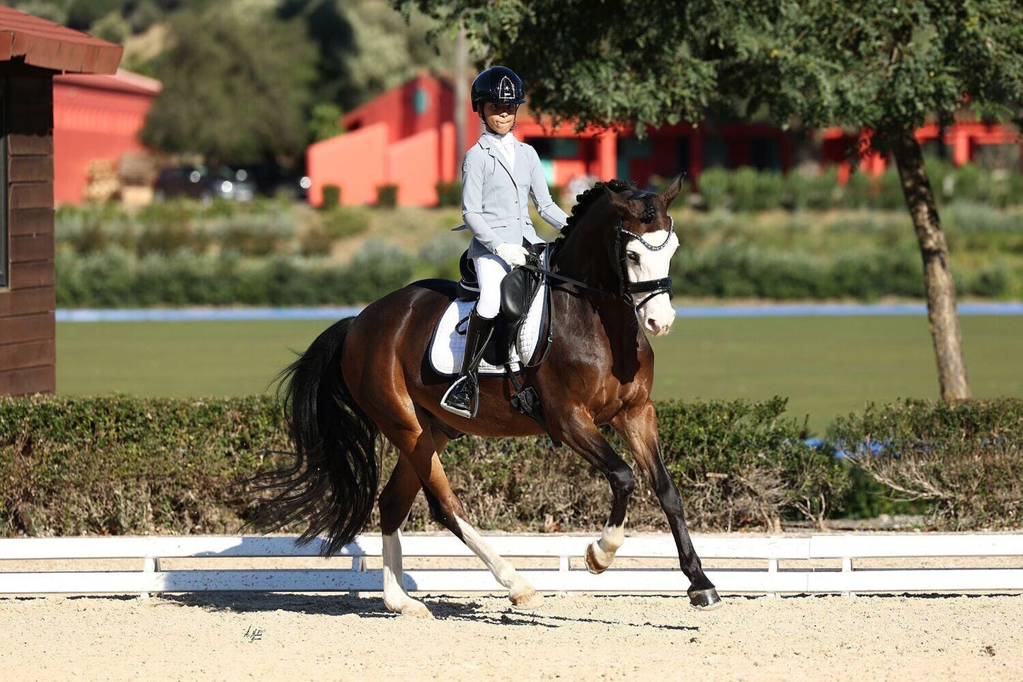 スワロフスキーUシェイプ額革 オーシャン ICE Equestrian