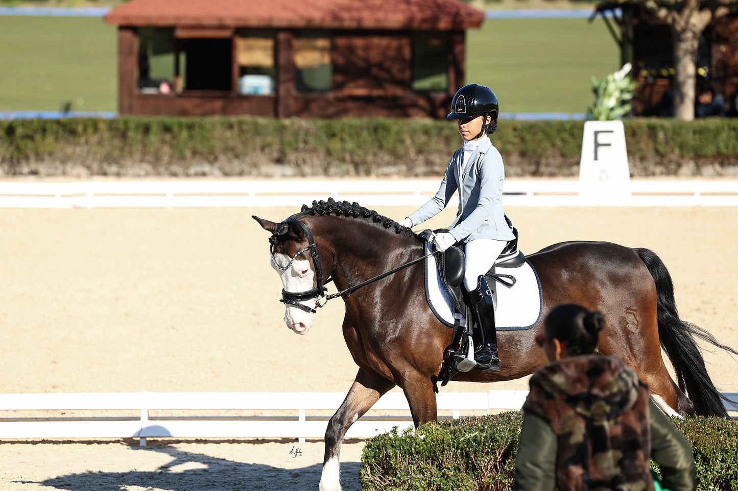 スワロフスキーUシェイプ額革 オーシャン ICE Equestrian