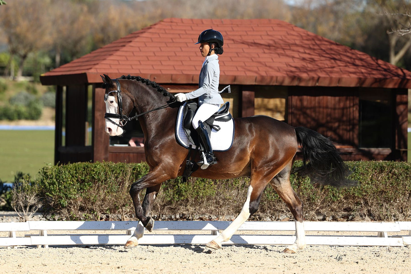 スワロフスキーUシェイプ額革 オーシャン ICE Equestrian