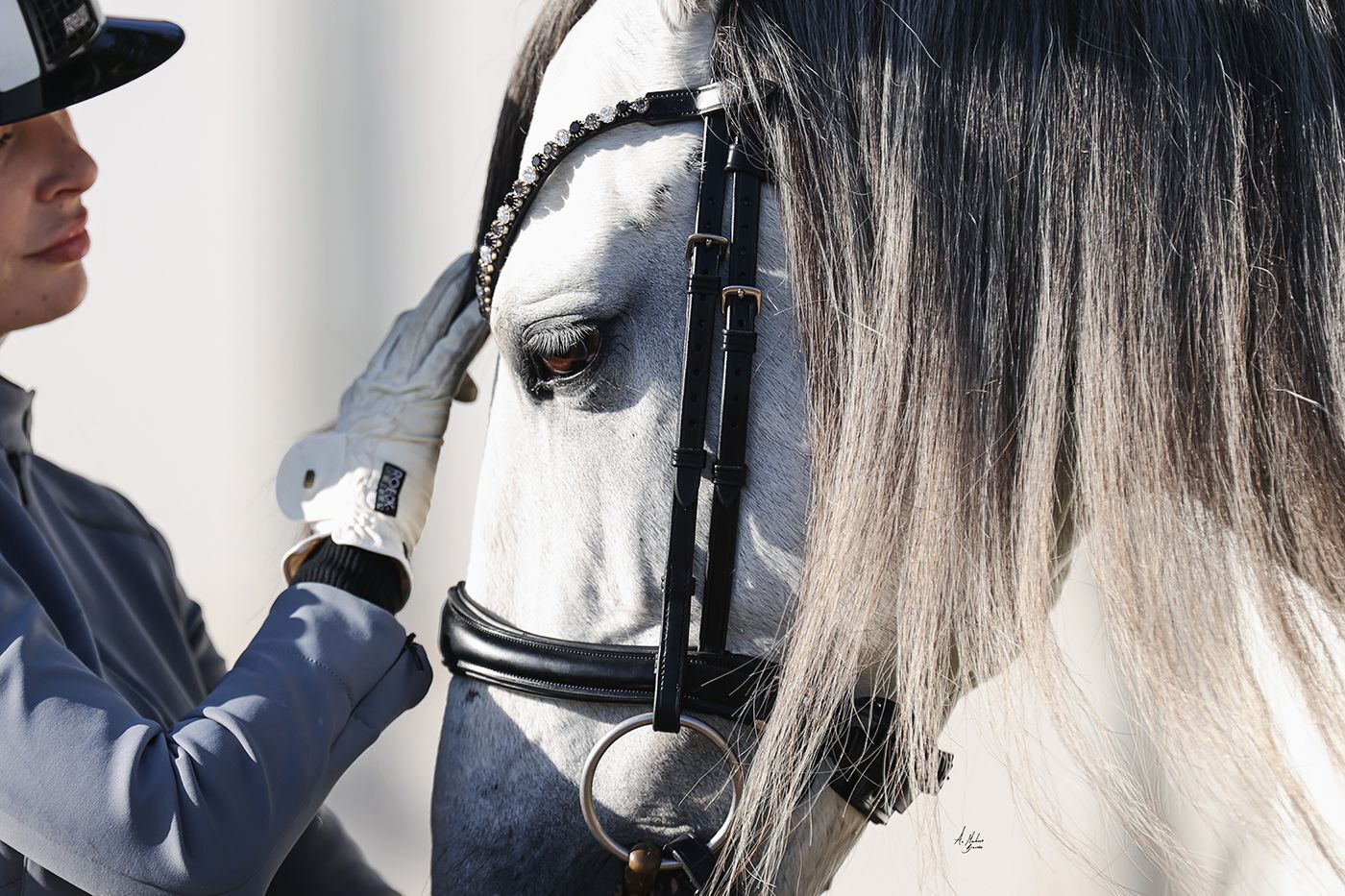 スワロフスキーUシェイプ額革 ブラックミックス ICE Equestrian