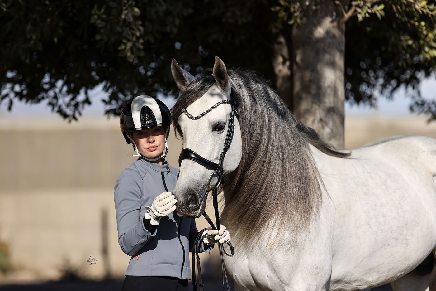 スワロフスキーUシェイプ額革 ブラックミックス ICE Equestrian