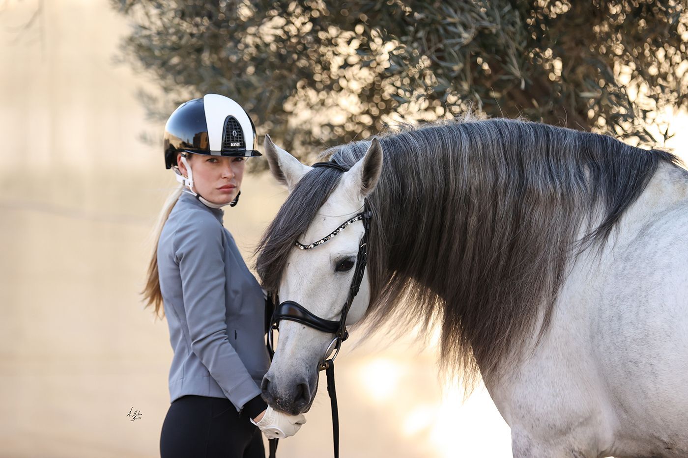 スワロフスキーUシェイプ額革 ブラックミックス ICE Equestrian