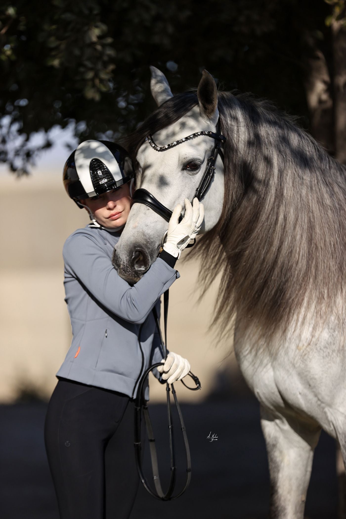 スワロフスキーUシェイプ額革 ブラックミックス ICE Equestrian