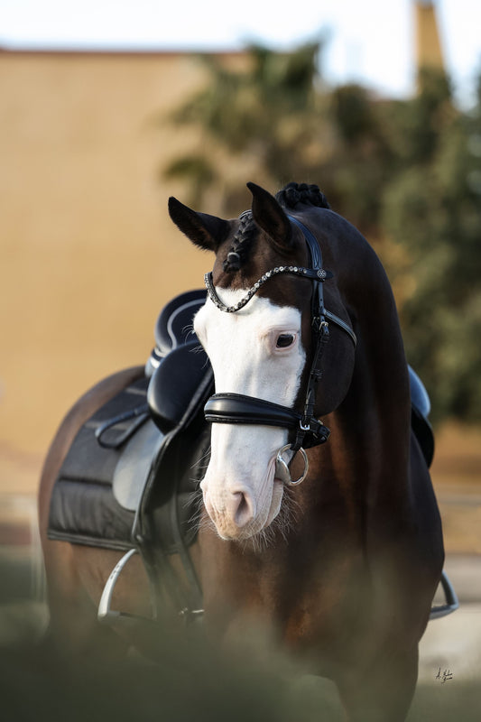 スワロフスキーUシェイプ額革 ブラックミックス ICE Equestrian