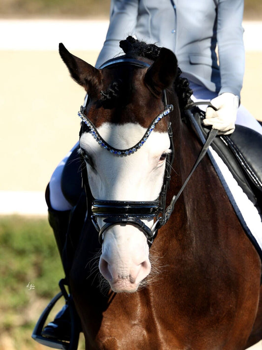 スワロフスキーUシェイプ額革 オーシャン ICE Equestrian