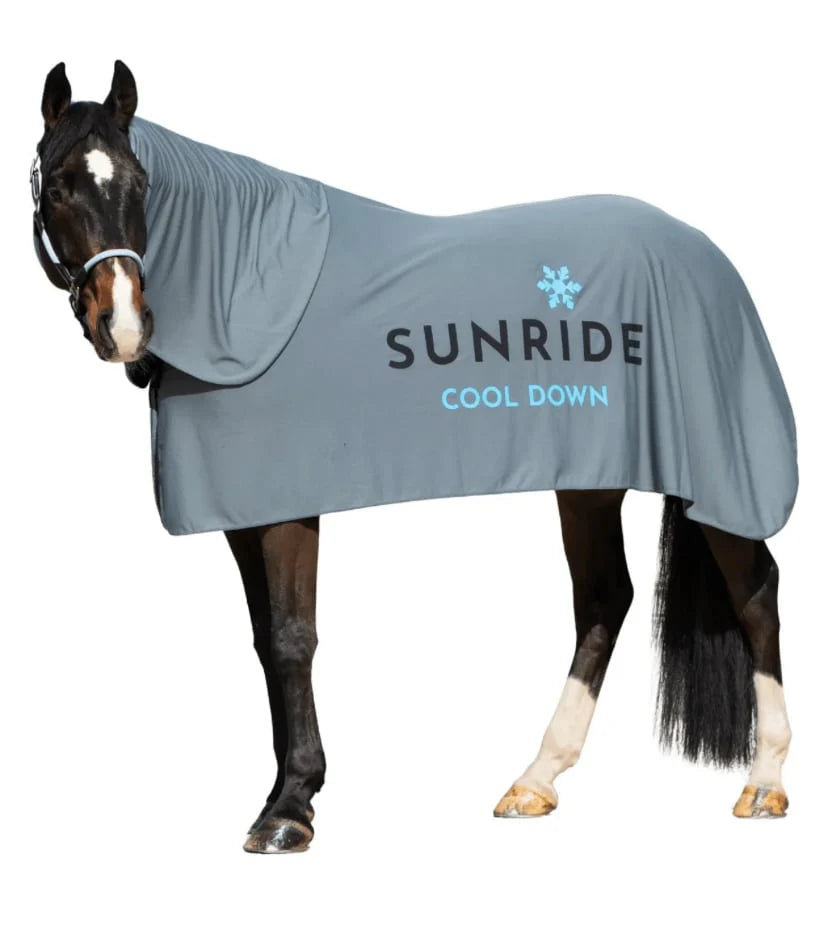 Insect-repellent horse blanket, white, Sunride