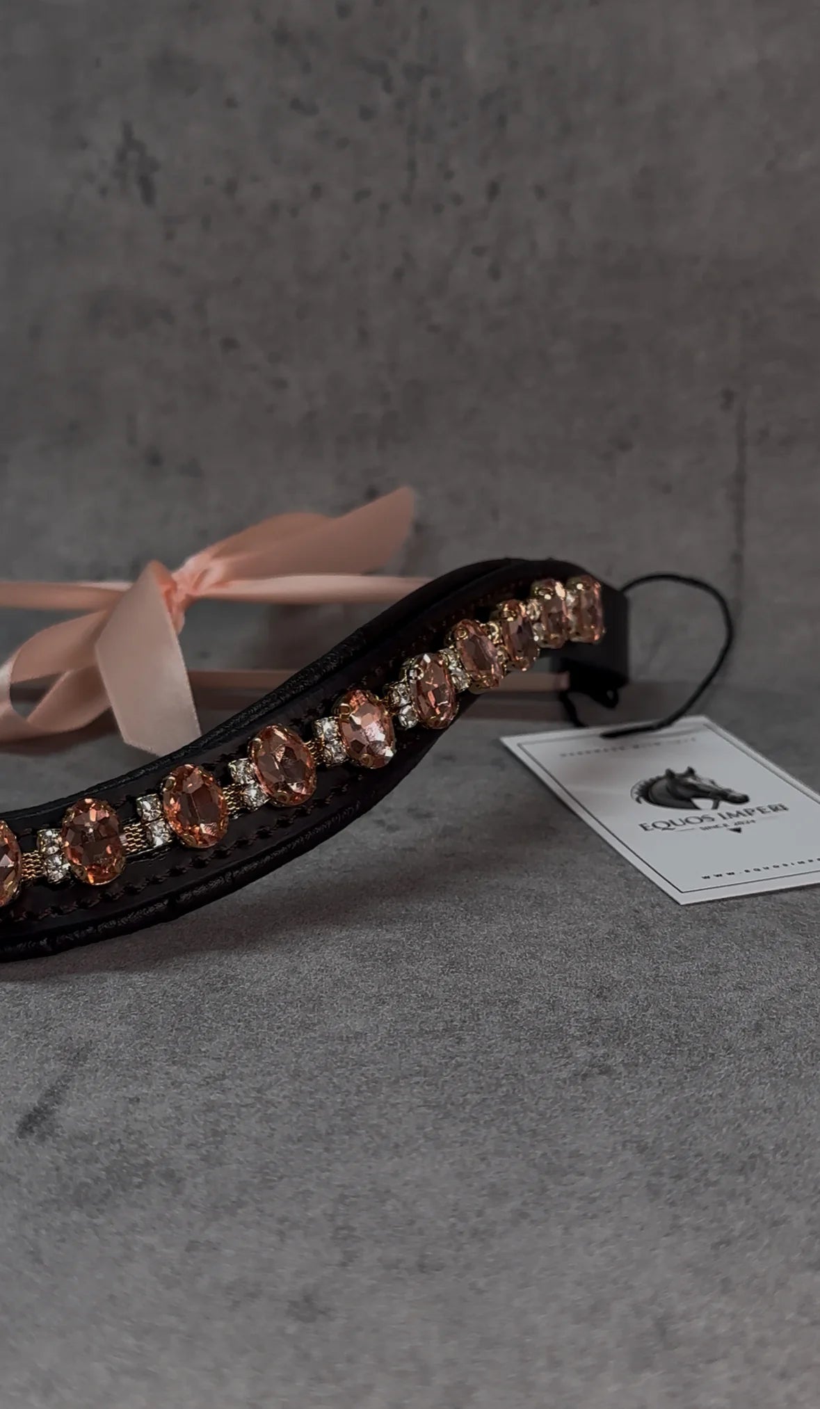 [Last one] Swarovski crystal frame leather clear &amp; chain black Benz Equestrian