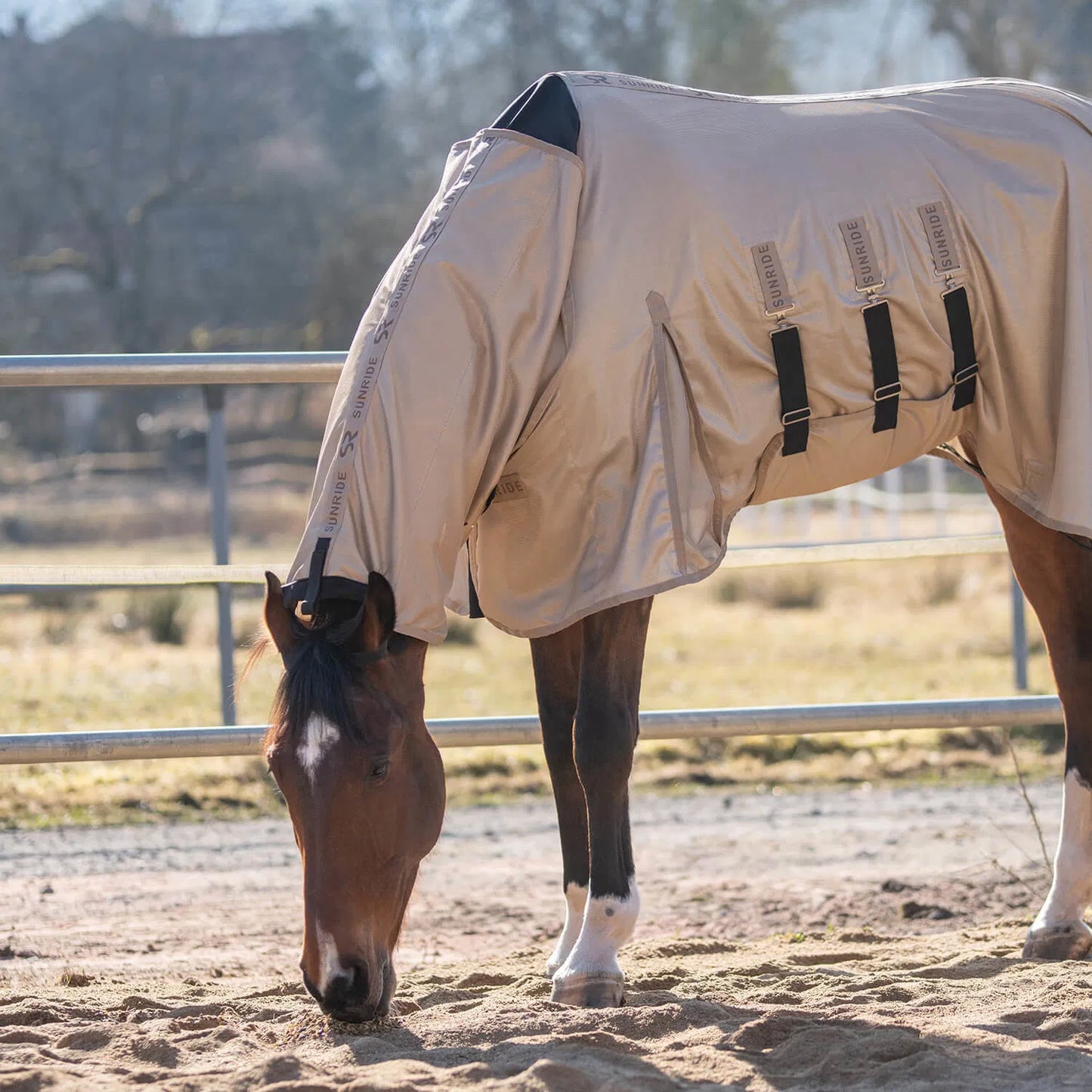 Insect-repellent horse blanket, white, Sunride