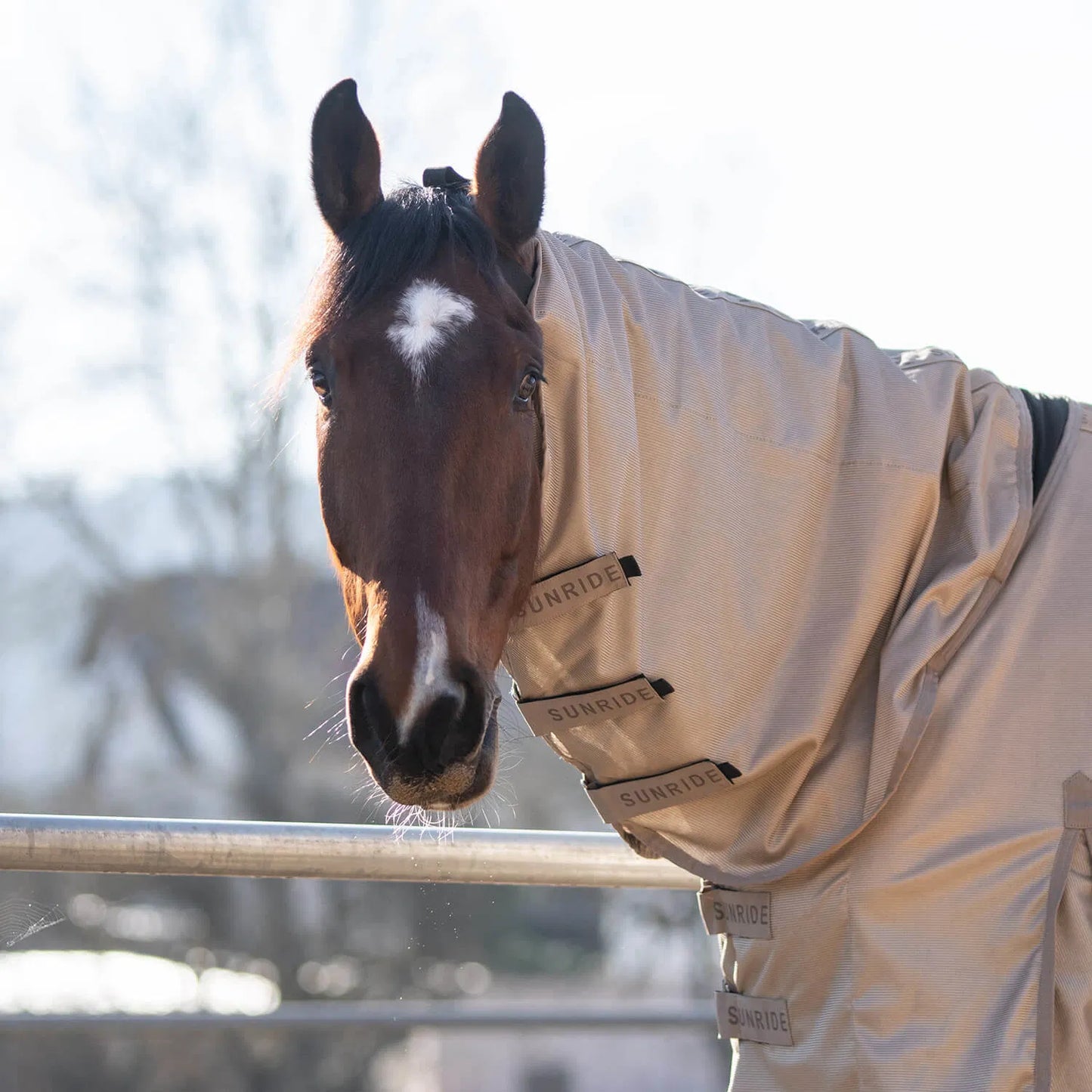 Insect-repellent horse blanket, white, Sunride