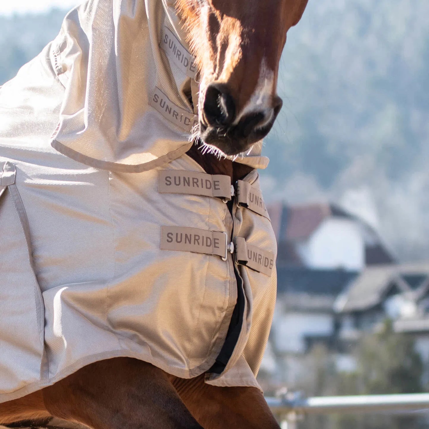 Insect-repellent horse blanket, white, Sunride